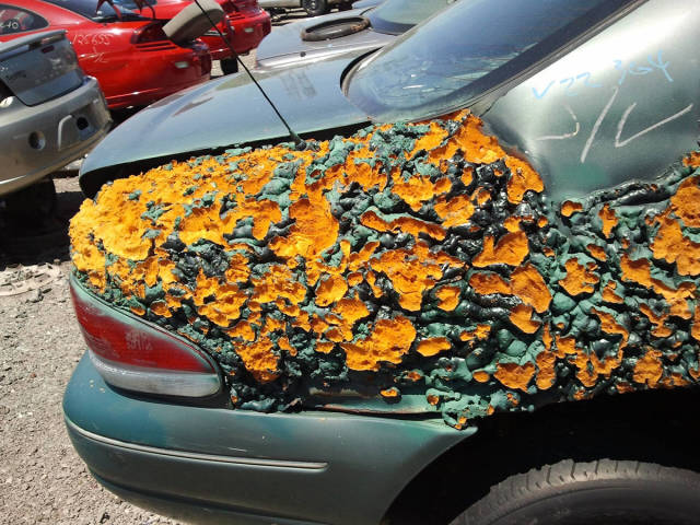 morning picdump 52 pics 19.html - 52 HD Photos | Premium Gallery 2016