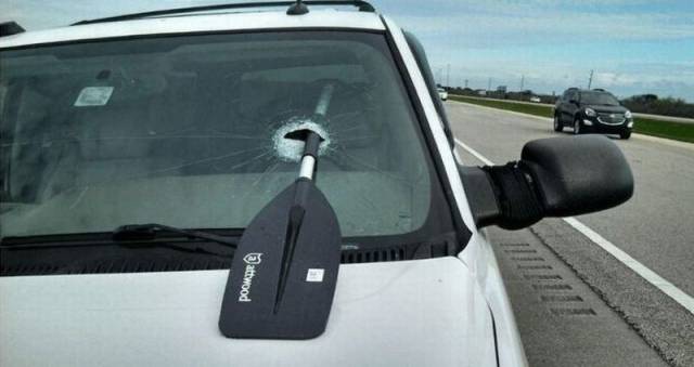 daily picdump 101 pics 46.html - 101 HD Photos | Premium Gallery 2016