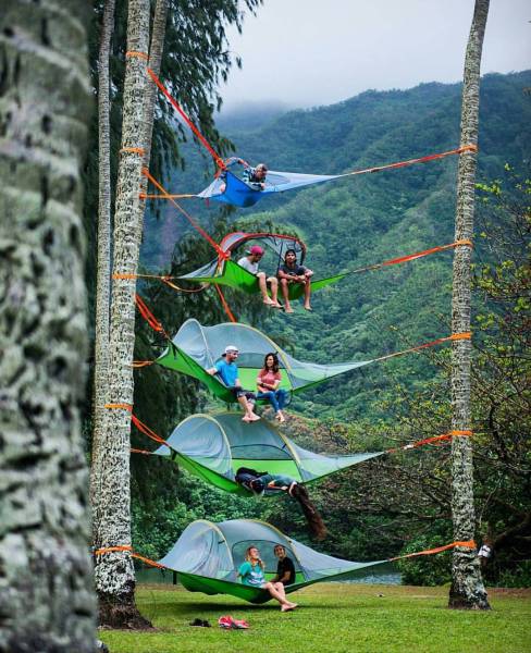 daily picdump 101 pics 46.html - 101 HD Photos | Premium Gallery 2016