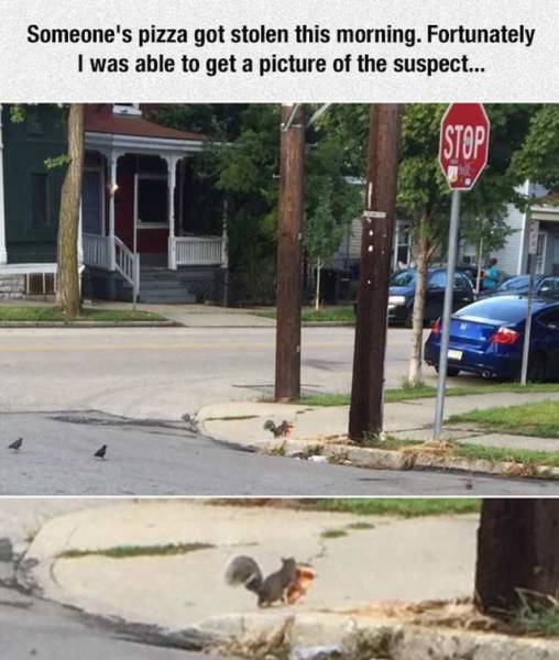 daily picdump 101 pics 46.html - 101 HD Photos | Premium Gallery 2016