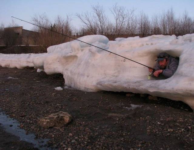 daily picdump 101 pics 46.html - 101 HD Photos | Premium Gallery 2016