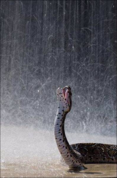 daily picdump 101 pics 46.html - 101 HD Photos | Premium Gallery 2016