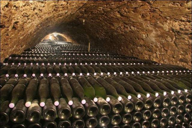 daily picdump 101 pics 46.html - 101 HD Photos | Premium Gallery 2016