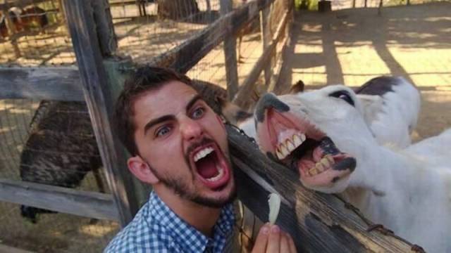 daily picdump 101 pics 46.html - 101 HD Photos | Premium Gallery 2016