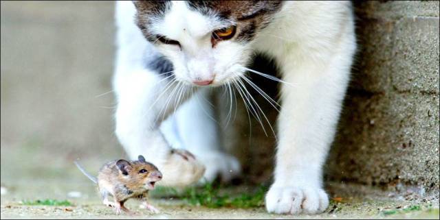 daily picdump 101 pics 46.html - 101 HD Photos | Premium Gallery 2016