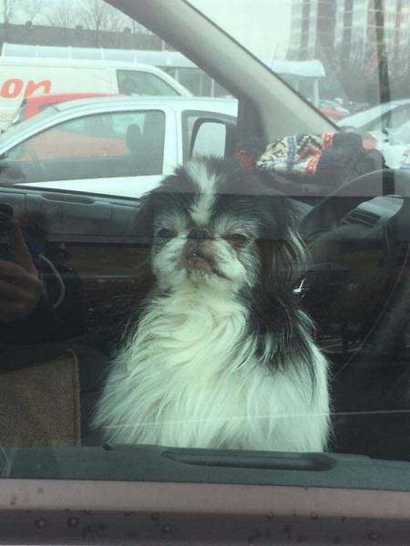 daily picdump 101 pics 46.html - 101 HD Photos | Premium Gallery 2016