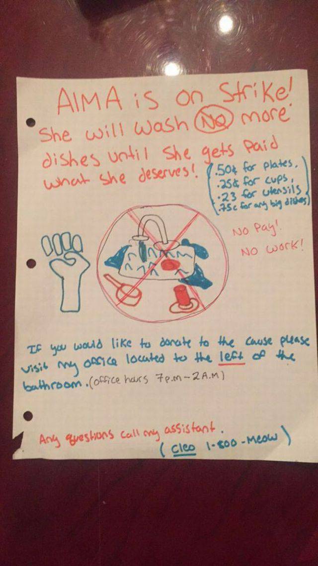 daily picdump 101 pics 46.html - 101 HD Photos | Premium Gallery 2016