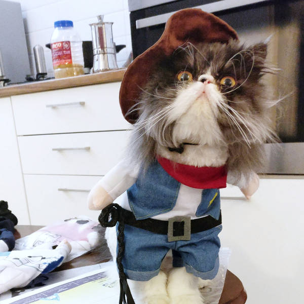 morning picdump 54 pics 11.html - 54 HD Photos | Premium Gallery 2016