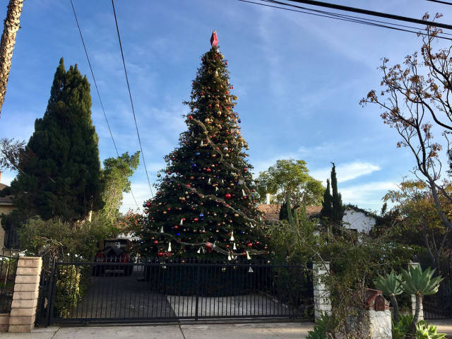 morning picdump 54 pics 11.html - 54 HD Photos | Premium Gallery 2016