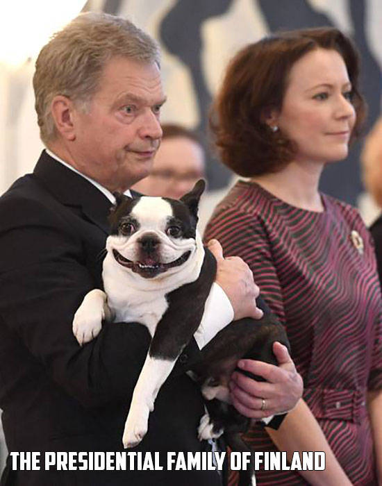 morning picdump 54 pics 11.html - 54 HD Photos | Premium Gallery 2016