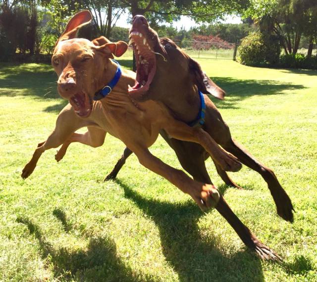 Daily Picdump [WEEKEND EDITION]