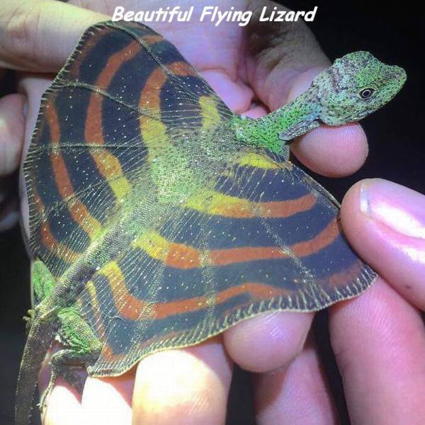 daily picdump weekend edition 73 pics 5.html - 73 HD Photos | Premium Gallery 2016