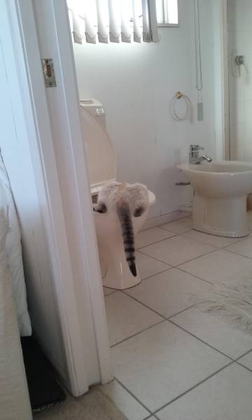 daily picdump 100 pics 3.html - 100 HD Photos | Premium Gallery 2016