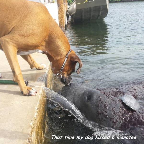 daily picdump 100 pics 3.html - 100 HD Photos | Premium Gallery 2016