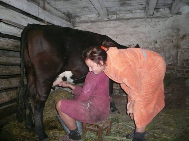 daily picdump 100 pics 3.html - 100 HD Photos | Premium Gallery 2016