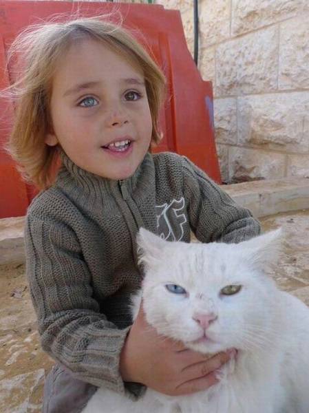 daily picdump 100 pics 3.html - 100 HD Photos | Premium Gallery 2016