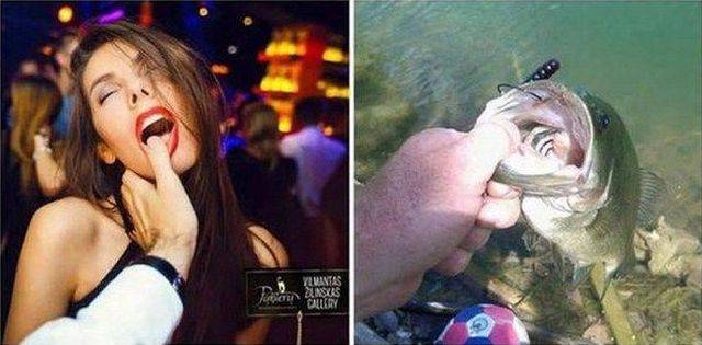 daily picdump 95 pics 2.html - 95 HD Photos | Premium Gallery 2016