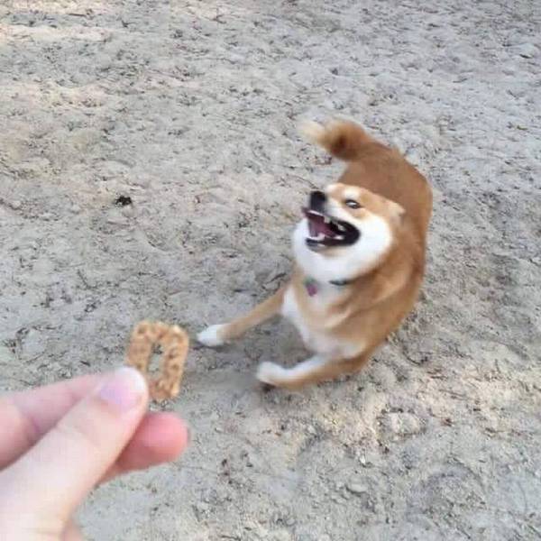 daily picdump 95 pics 2.html - 95 HD Photos | Premium Gallery 2016