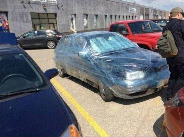 daily picdump 95 pics 2.html - 95 HD Photos | Premium Gallery 2016