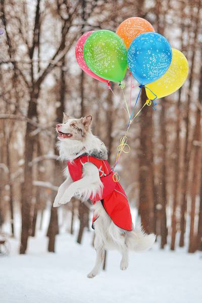 daily picdump 95 pics 2.html - 95 HD Photos | Premium Gallery 2016