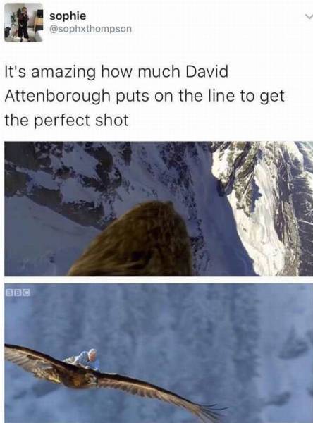 daily picdump 95 pics 2.html - 95 HD Photos | Premium Gallery 2016