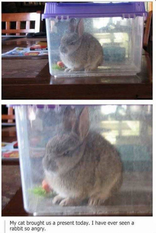 daily picdump 95 pics 2.html - 95 HD Photos | Premium Gallery 2016