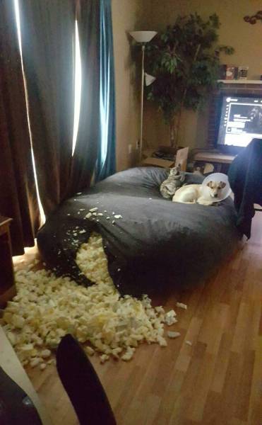 morning picdump 53 pics 4.html - 53 HD Photos | Premium Gallery 2016