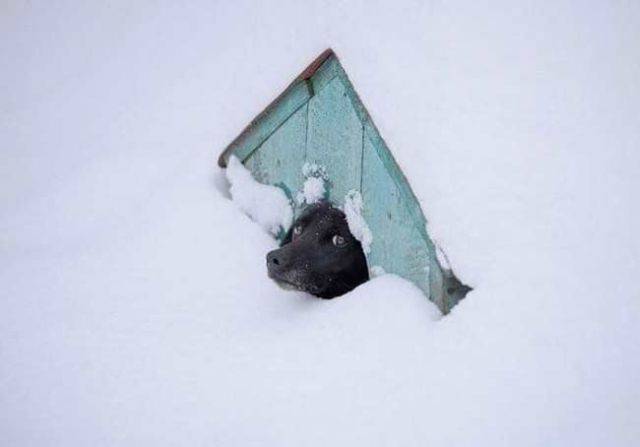 daily picdump 102 pics 33.html - 102 HD Photos | Premium Gallery 2016