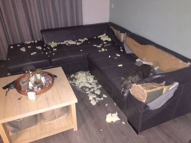 daily picdump 102 pics 33.html - 102 HD Photos | Premium Gallery 2016