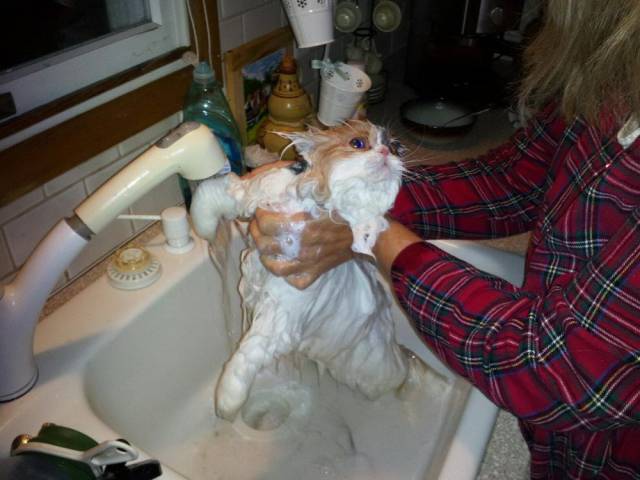 daily picdump 102 pics 33.html - 102 HD Photos | Premium Gallery 2016