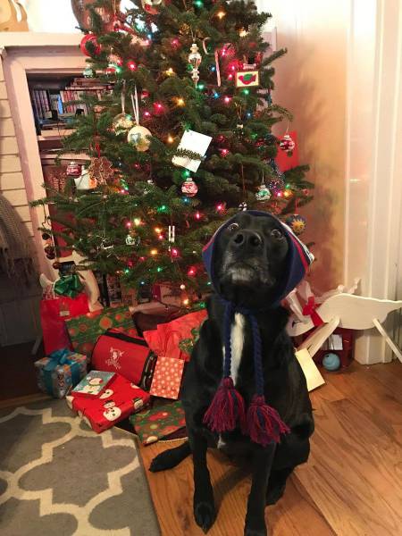 daily picdump 102 pics 33.html - 102 HD Photos | Premium Gallery 2016