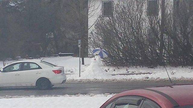 daily picdump 102 pics 33.html - 102 HD Photos | Premium Gallery 2016