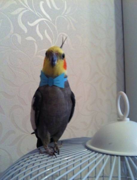 daily picdump 102 pics 33.html - 102 HD Photos | Premium Gallery 2016