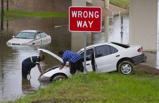 daily picdump 102 pics 33.html - 102 HD Photos | Premium Gallery 2016