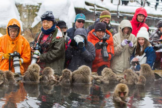 daily picdump 102 pics 33.html - 102 HD Photos | Premium Gallery 2016