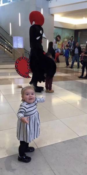 daily picdump 92 pics 15.html - 92 HD Photos | Premium Gallery 2016