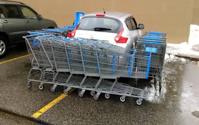 daily picdump 92 pics 15.html - 92 HD Photos | Premium Gallery 2016