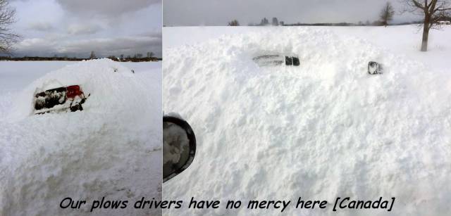 daily picdump 92 pics 15.html - 92 HD Photos | Premium Gallery 2016