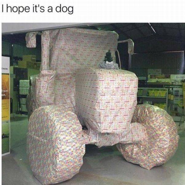 daily picdump 92 pics 15.html - 92 HD Photos | Premium Gallery 2016