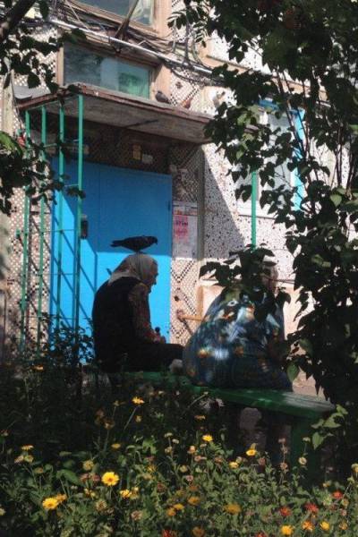 daily picdump 92 pics 15.html - 92 HD Photos | Premium Gallery 2016