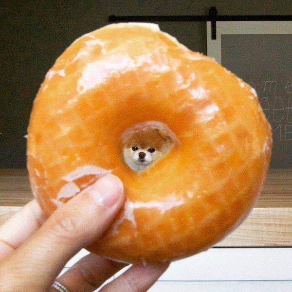 daily picdump 92 pics 15.html - 92 HD Photos | Premium Gallery 2016