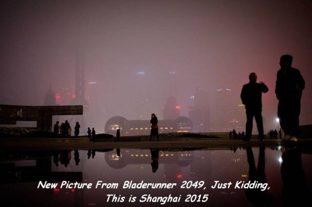 daily picdump 92 pics 15.html - 92 HD Photos | Premium Gallery 2016