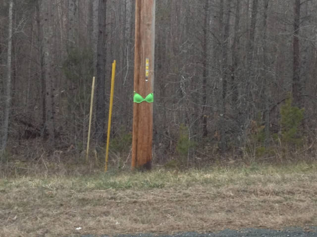 morning picdump 50 pics 14.html - 50 HD Photos | Premium Gallery 2016