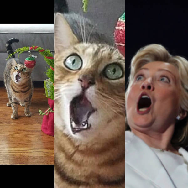 morning picdump 50 pics 14.html - 50 HD Photos | Premium Gallery 2016