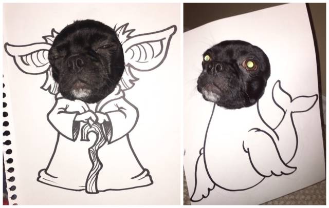 morning picdump 50 pics 14.html - 50 HD Photos | Premium Gallery 2016