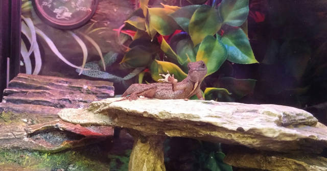 morning picdump 50 pics 14.html - 50 HD Photos | Premium Gallery 2016