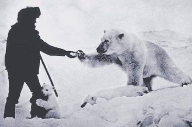 daily picdump 98 pics 36.html - 98 HD Photos | Premium Gallery 2016