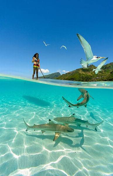 daily picdump 98 pics 36.html - 98 HD Photos | Premium Gallery 2016