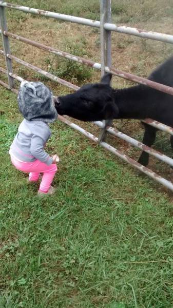 daily picdump 98 pics 36.html - 98 HD Photos | Premium Gallery 2016