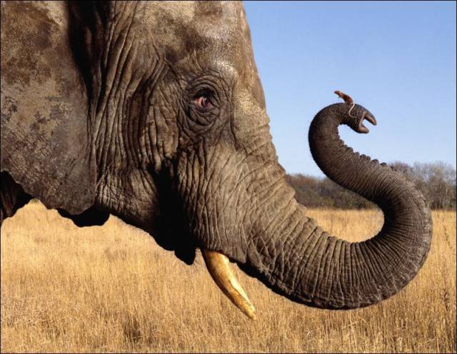 daily picdump 98 pics 36.html - 98 HD Photos | Premium Gallery 2016